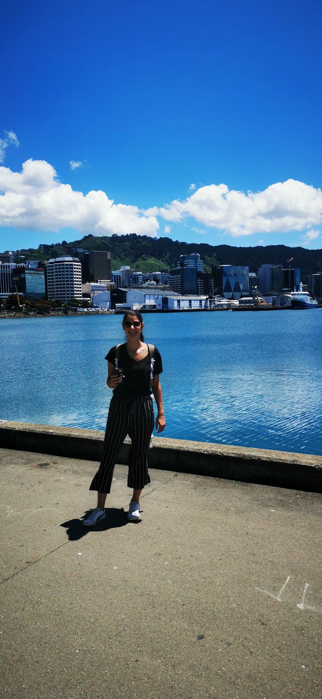 erster Tag in Wellington