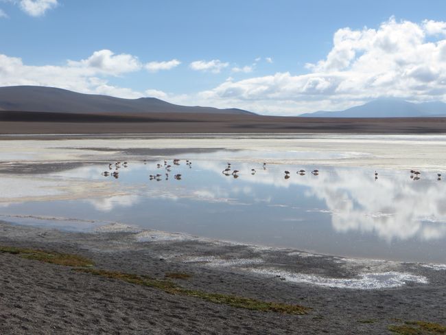 Salar de Uyuni
