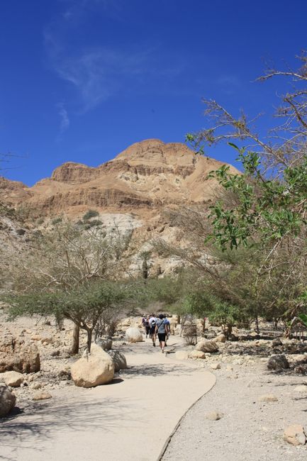 The fortress Masada