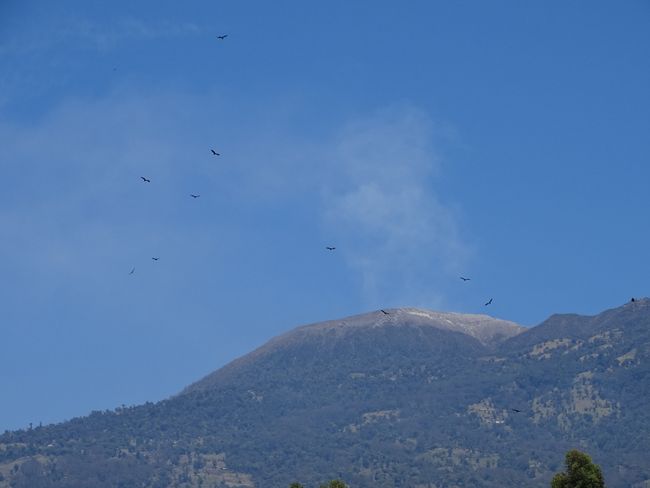Turrialba volcano with ash cloud - last erupted in 2016