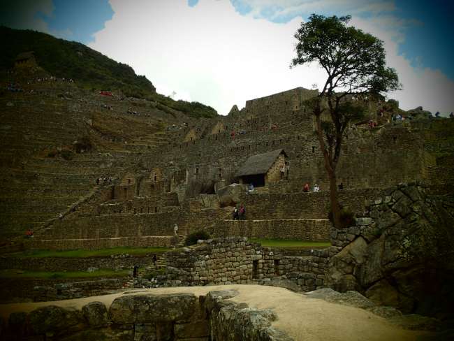 Vai vevela, Machu Picchu, Peru