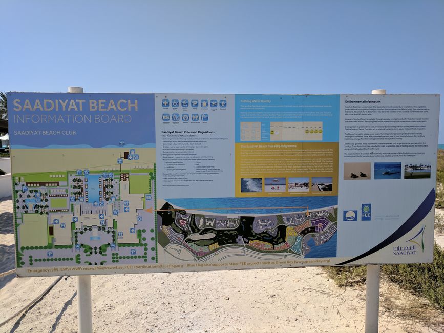 Tag 8 (2017) Abu Dhabi: Saadiyat Beach Club