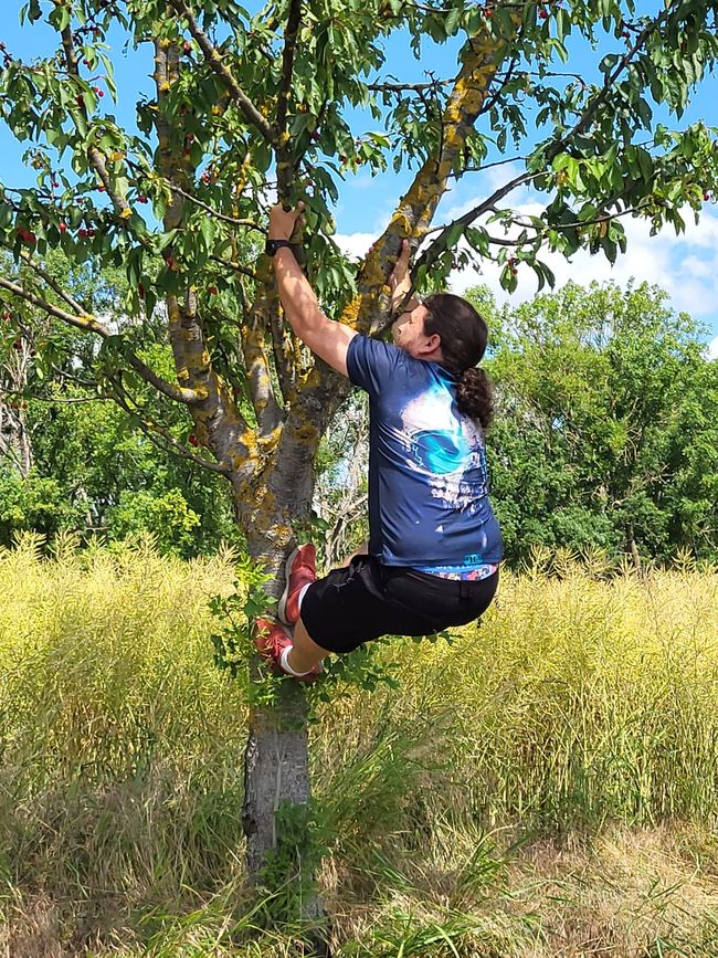 Tentativo di arrampicata....solo tentativo 😅