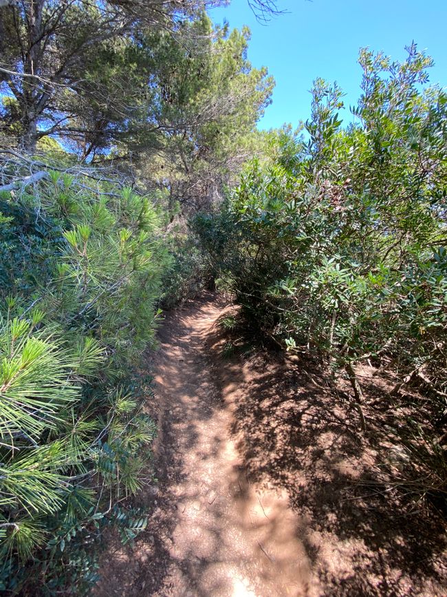 Cala — Hüpfen
