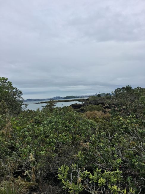 22|09|2018, Rangitoto Island