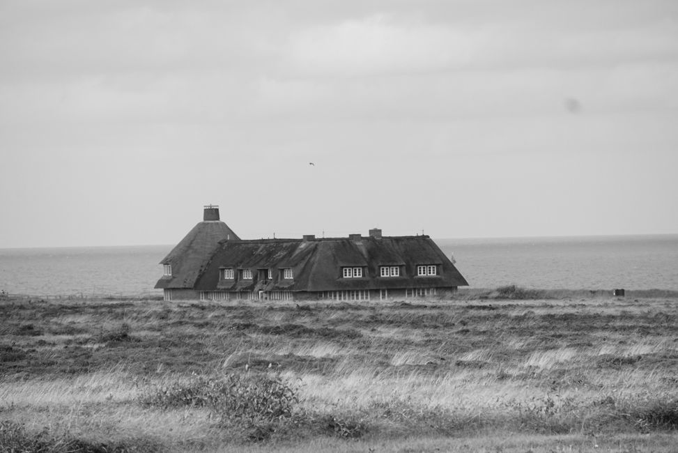 Watt‘n‘datt