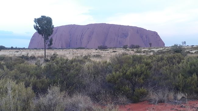 Trip to Uluru - Ayers Rock 25.10.18