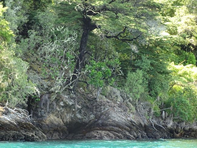 Wellington, Lord of the Rings Tour and the rugged wilderness on the South Island