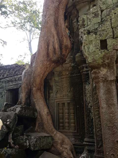 Visits to the temple city of Angkor