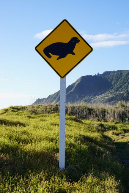 Caution: Seals