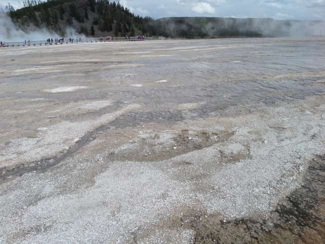 Parco Nazionale Yellowstone
