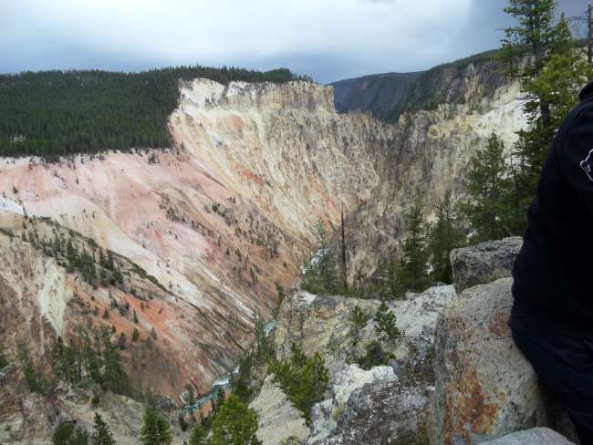 Parco Nazionale Yellowstone