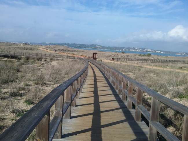 Kilometer-long walkways in the dunes