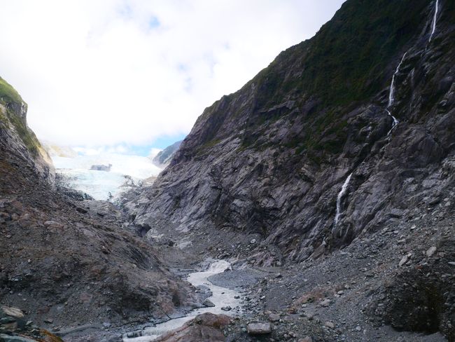 Die Westküste - Franz Josef Gletscher
