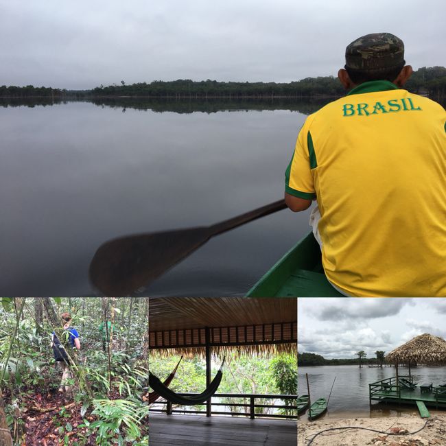 Regenwaldtour & Amazonas