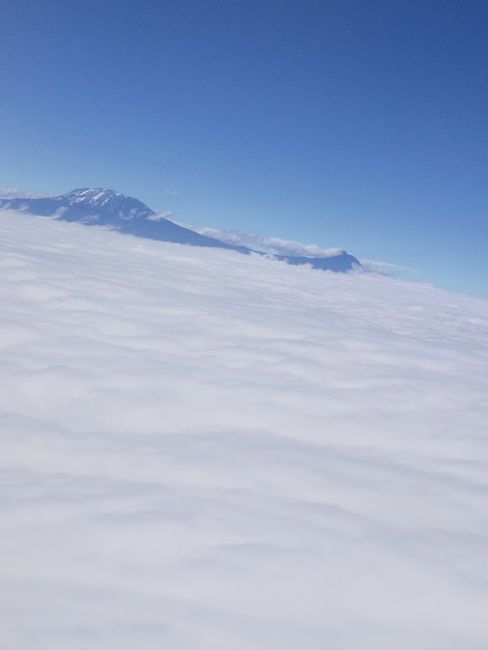 Nachtrag: Zwischenstop am Kilimandscharo