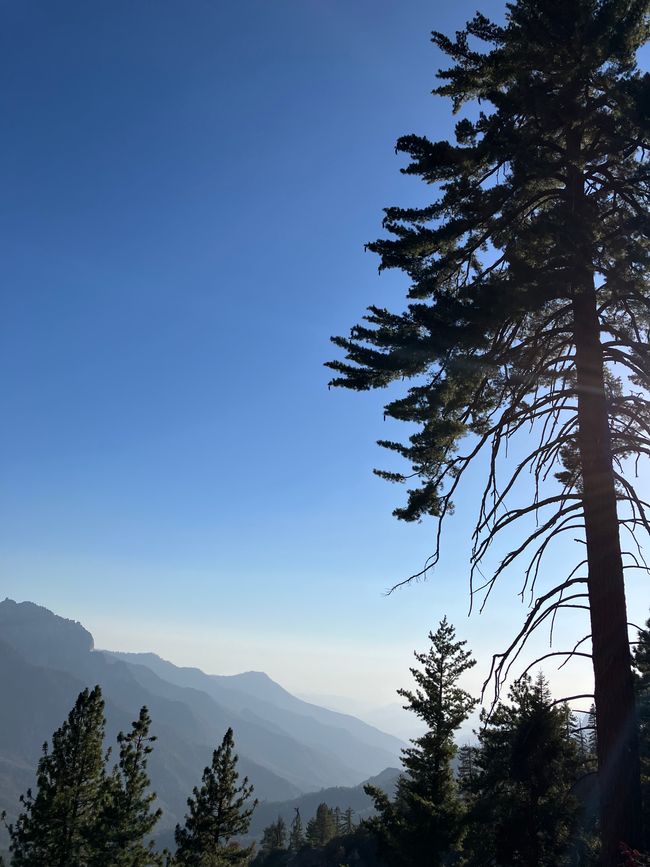 High Sierra Trail Tag 1