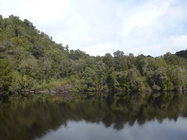 Tasmania: Strahan and Gordon River (Australia Part 20)