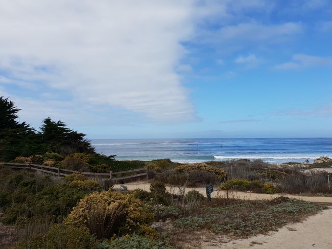 Whale Watching yn Monterey & 17-Mile-Drive