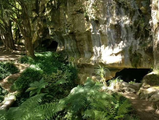 Waipu Cave
