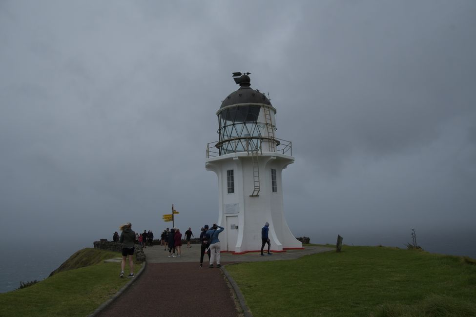 North Island - Northland - North of the North - Cape Reinga Lighthouse