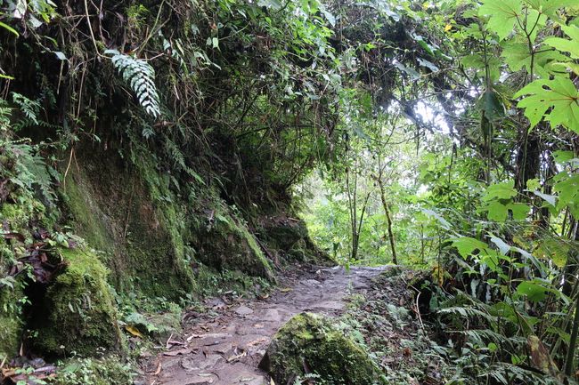 the Inca Trail