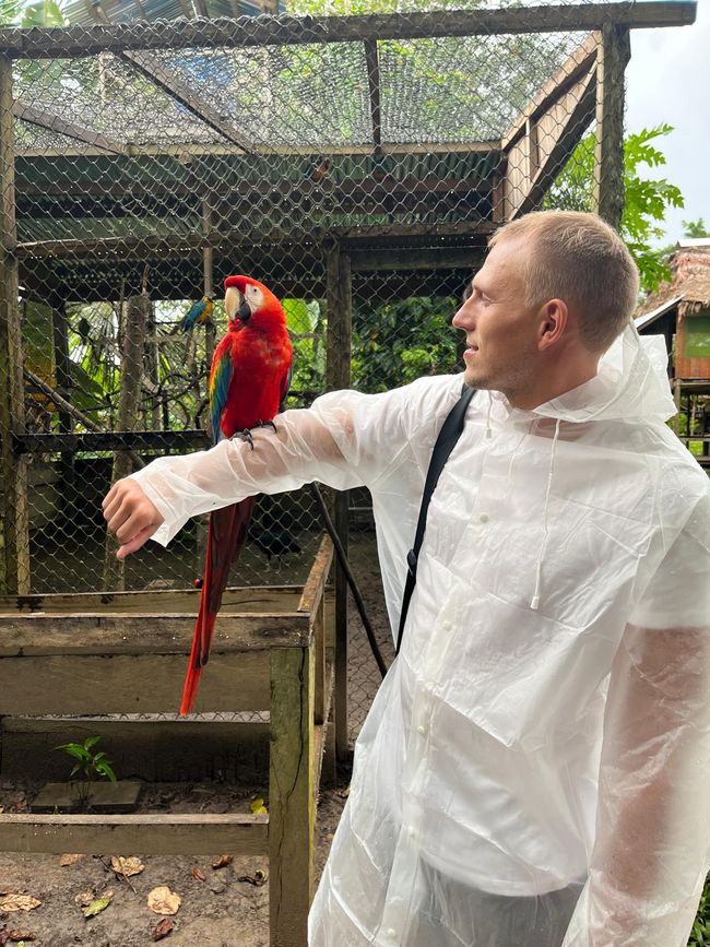 Unser Dschungelcamp - Iquitos im Amazonas Gebiet