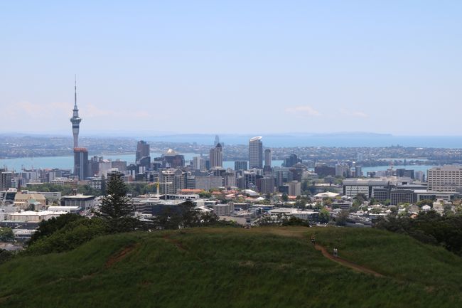 Wenn Auckland plötzlich gar nicht mehr so hässlich aussieht