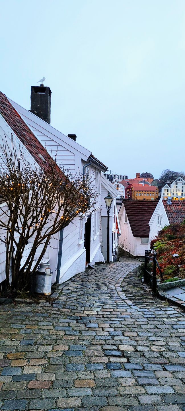 Hurtigruten Otto Sverdrup
Hamburg-Nordkap- Hamburg
13.Januar 2022