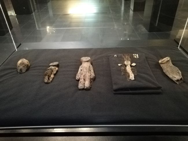 Mumien von Arica