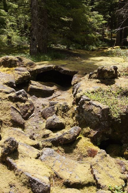 Washington: off the beaten path: Kelso - Ape Caves - Yale Lake