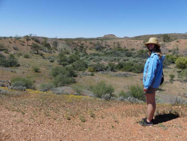 At the Henbury Meteorites Conservation Reserve