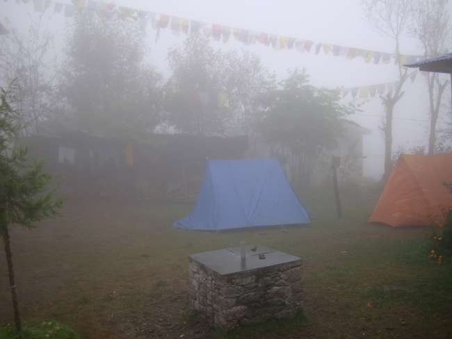 Tents in the garden, emergency shelter for many