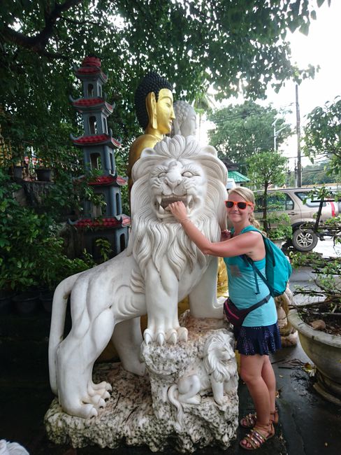 Lion to lion ♌