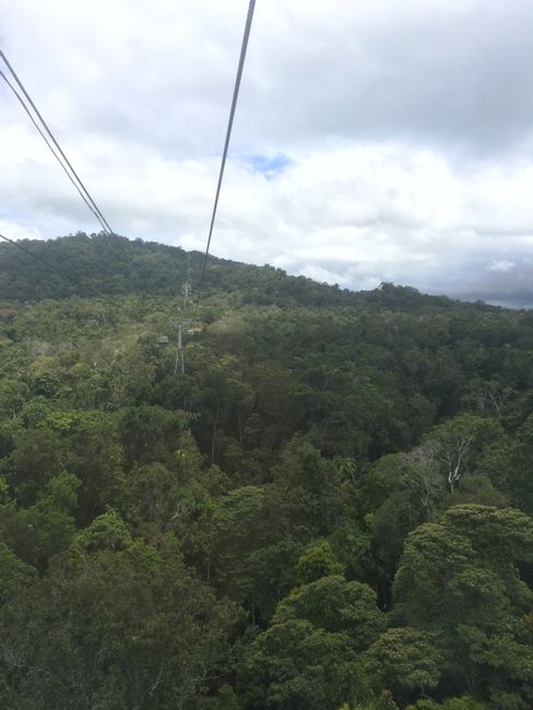 Cairns bis Brisbane - man ist das hübsch!