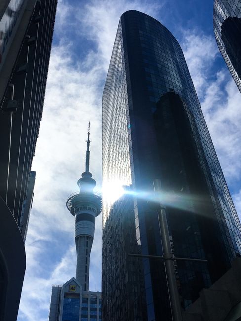 Skytower im Auckland City Center