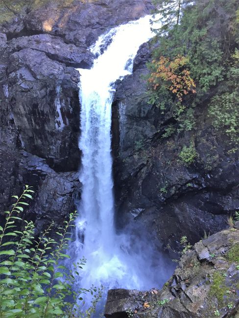 The Elk Falls