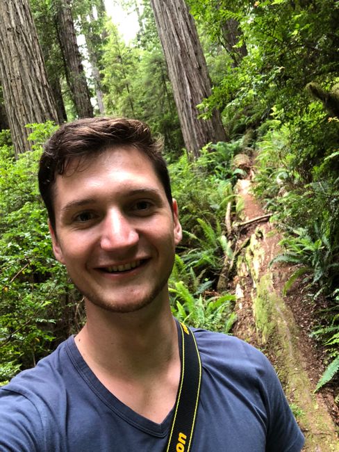 We had an amazing day in the Redwoods!