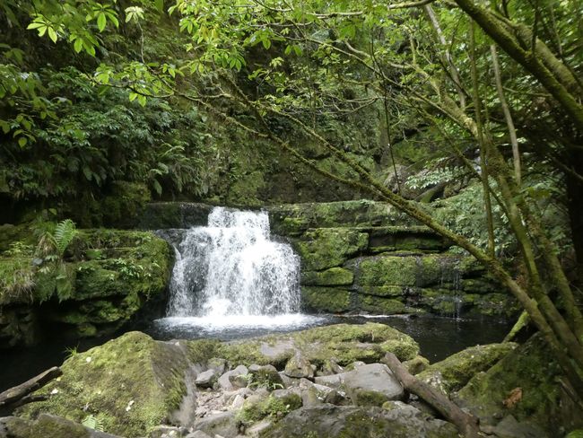 McLean Falls