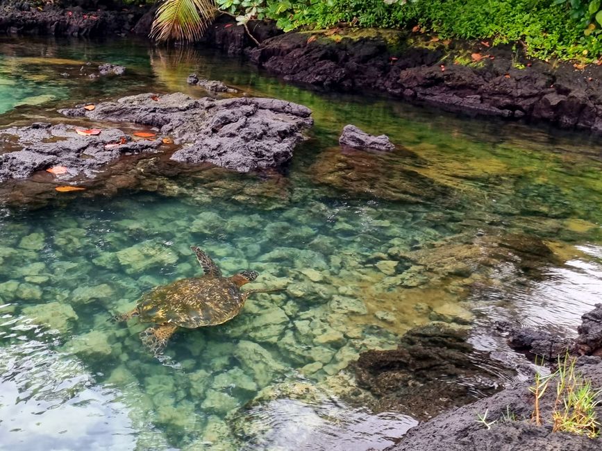 Hawaii 2022 - Teil 1: Big Island