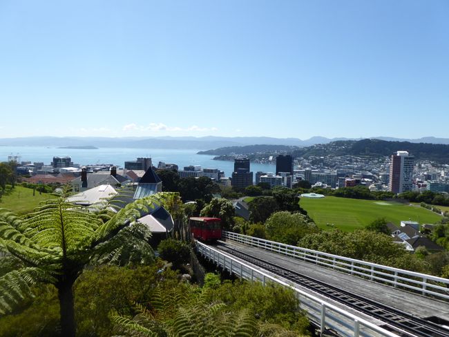 City Tour Wellington