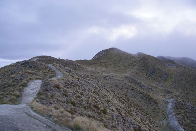 Roys Peak Summit