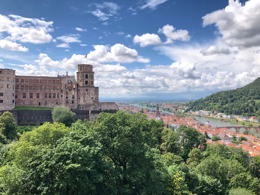 View over the Neckar