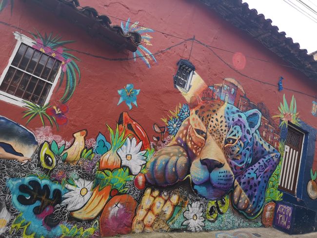 Streetart in den Flavelas