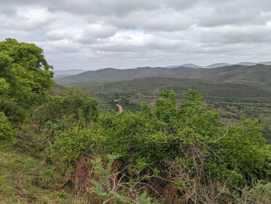 Hluhluwe-Imfolozi-Nationalparks