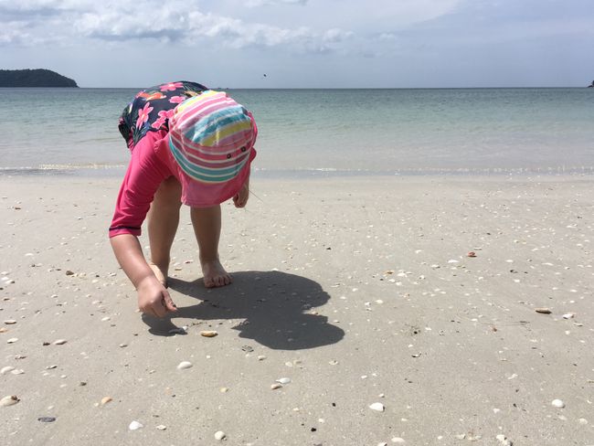 Collecting seashells