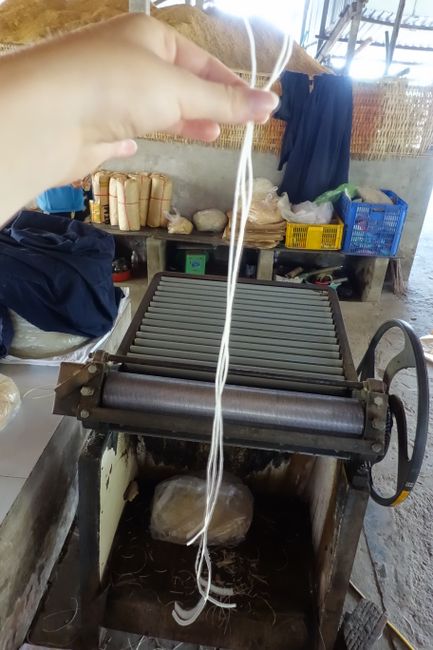 Schneidmaschine für die Reisnudeln