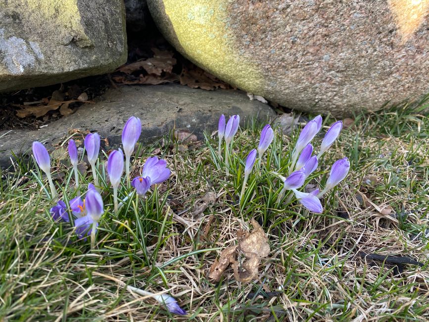 Frühling/Spring