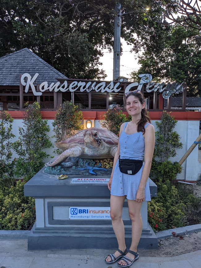 In front of the turtle conservation center