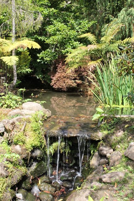 Otago Peninsula - Glenfalloch garden